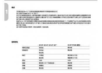 228.32.10 PNEUMAX控制阀