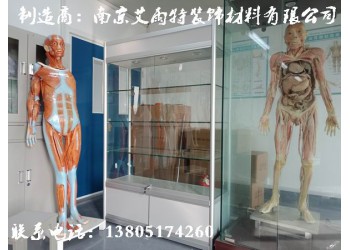 芜湖手办展柜、芜湖玻璃展柜