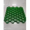 HDPE4公分植草格/山东阔展工程材料