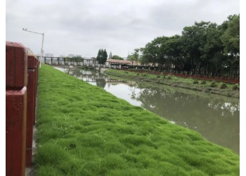 绿化混凝土_生态混凝土_植被混凝土_植生砼_生物基质混凝土