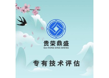 上海市专有技术评估无形资产评估专利评估机构