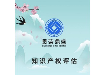 厦门市版权价值评估知识产权评估专利和软著评估商标价值评估