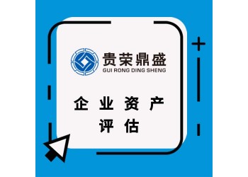 贵州省贵阳市企业股权价值评估股东价值评估企业负债评估