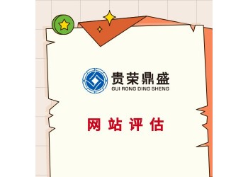 海南省海口市网站评估APP评估营销网络评估