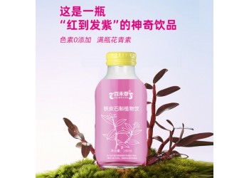 铁皮石斛植物饮品招代理商 铁皮石斛植物饮品大量批发