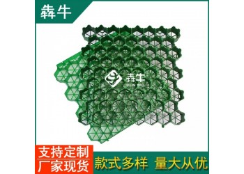 丽水HDPE塑料植草格款式新颖