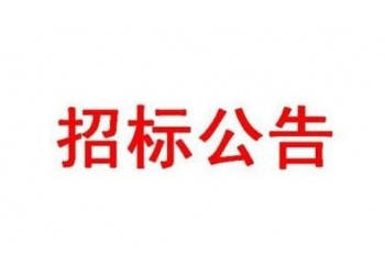 公开招标；岱岳区道朗镇老泰肥路(道朗段)改造提升支线管网道