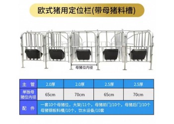 母猪限位栏 母猪定位栏 养殖专用定位栏